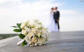 Wedding Organizer